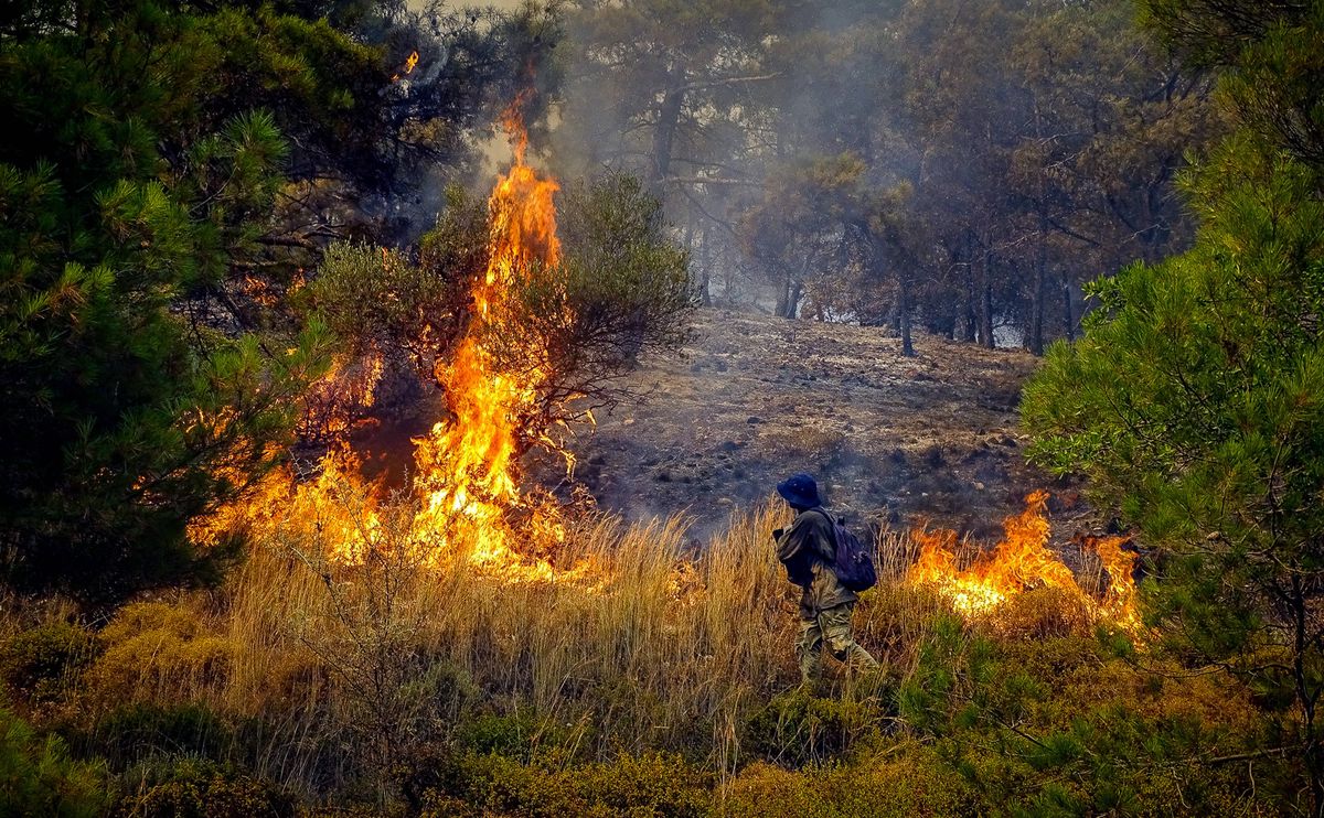 Die Waldbrände auf Rhodos breiten sich seit sechs Tagen rasant aus. 